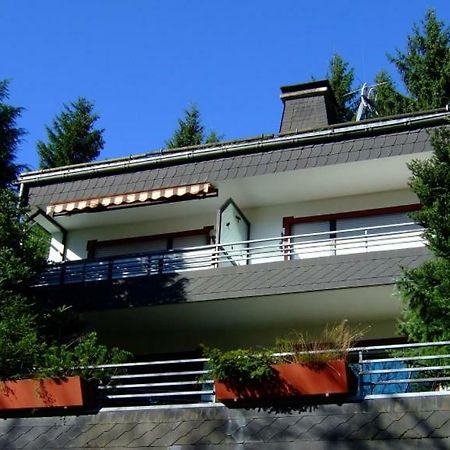 Ferienwohnung Napierski Willingen  Exterior photo