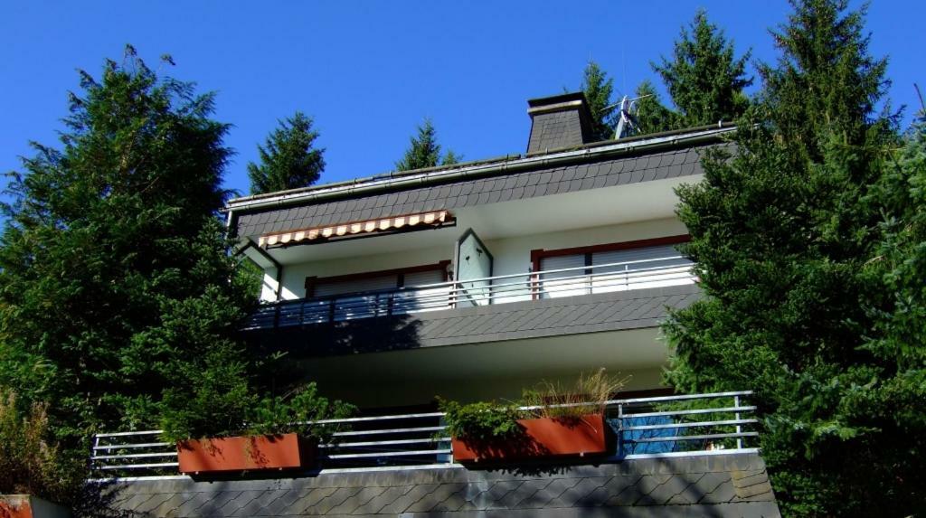 Ferienwohnung Napierski Willingen  Exterior photo